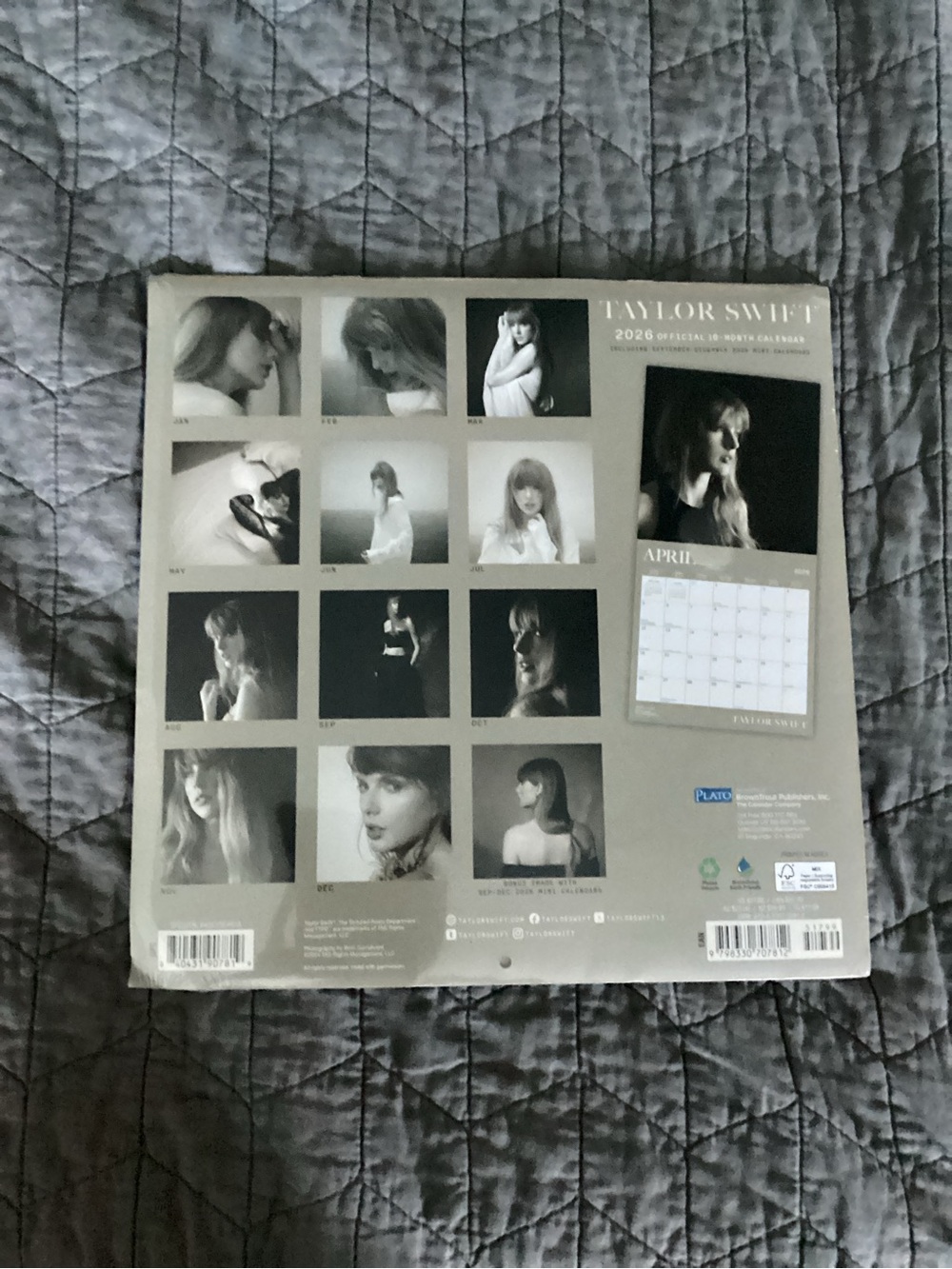 Taylor Swift Gray and Black Photo Grid Wall Calendar